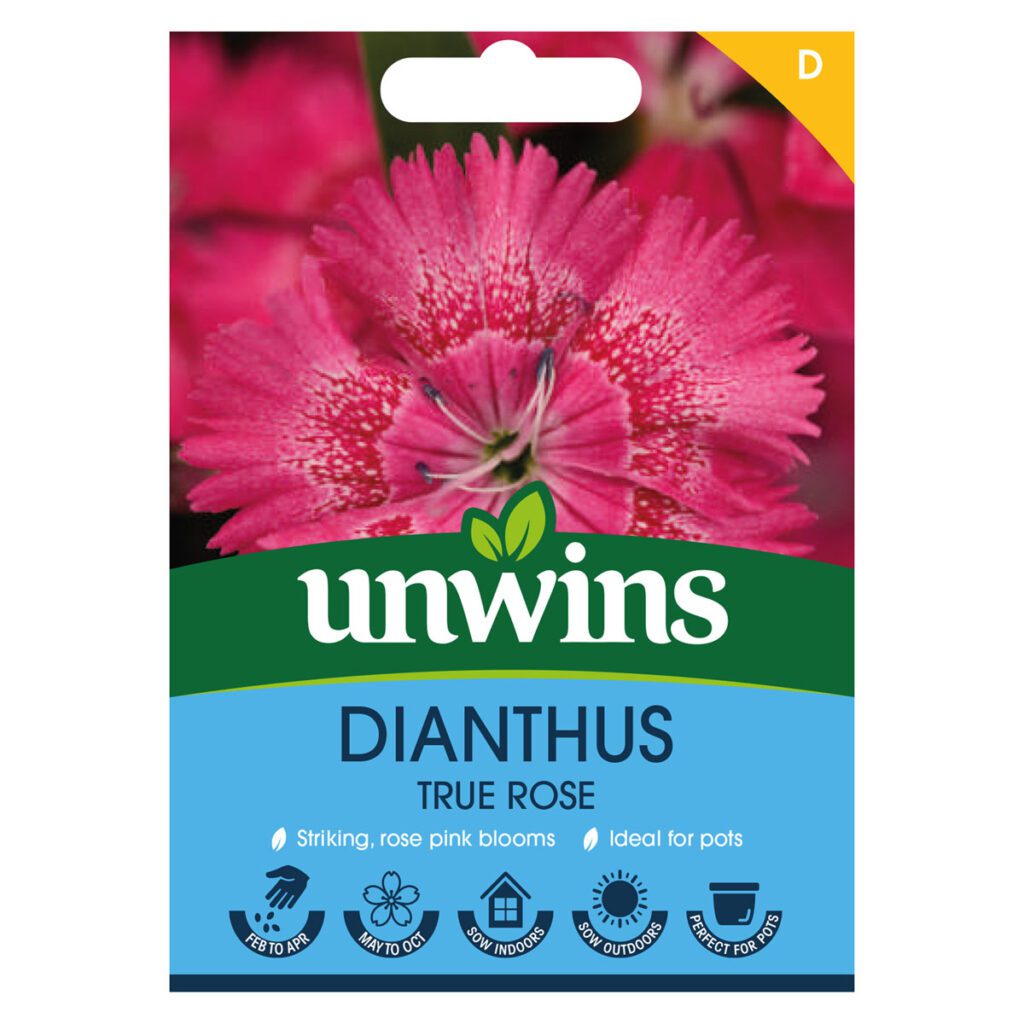 Unwins Dianthus True Rose Seeds 5051618035057 2